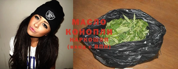 крисы Каменка