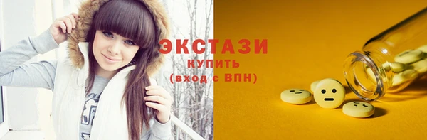 крисы Каменка