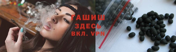 крисы Каменка
