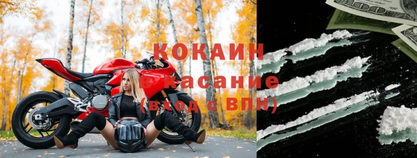 ГАЛЛЮЦИНОГЕННЫЕ ГРИБЫ Карталы