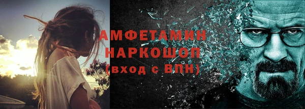 крисы Каменка