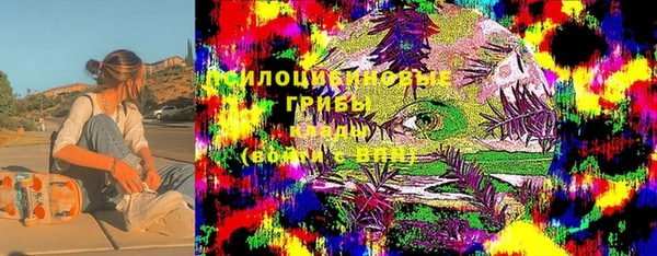 ГАЛЛЮЦИНОГЕННЫЕ ГРИБЫ Карталы