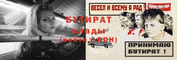 крисы Каменка