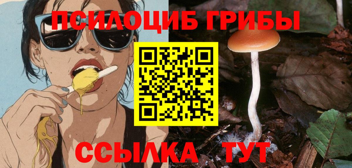 Псилоцибиновые грибы ЛСД Бугуруслан